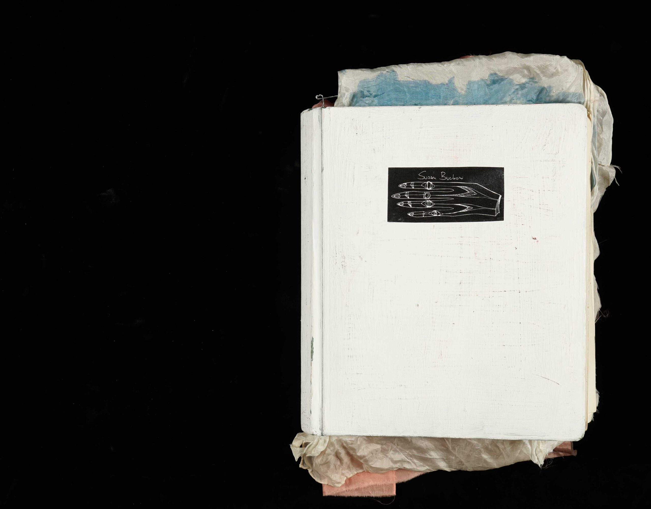 White Artist Book Cover by Susan Buckow