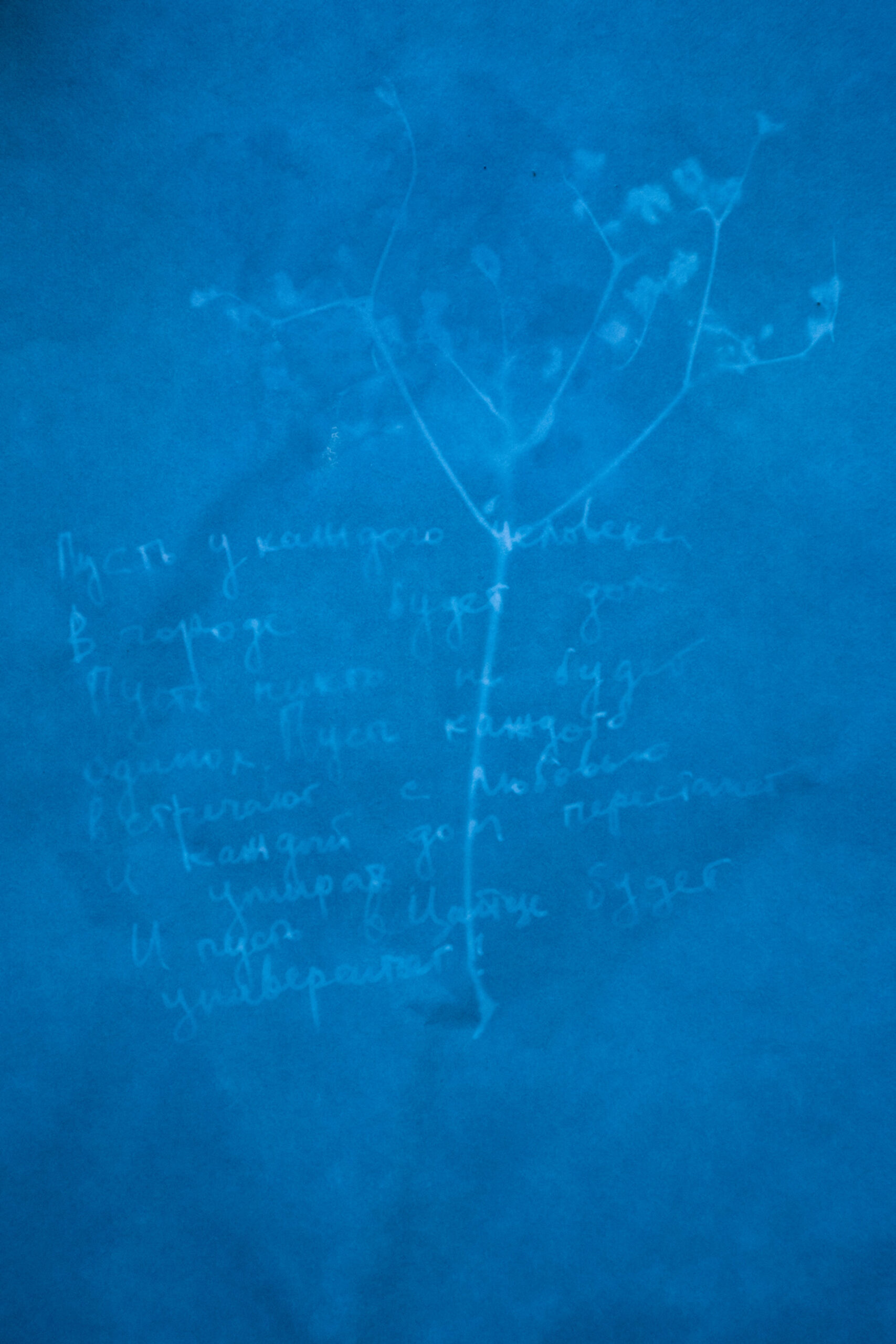 Dark blue Cyanotype print with flower and poem