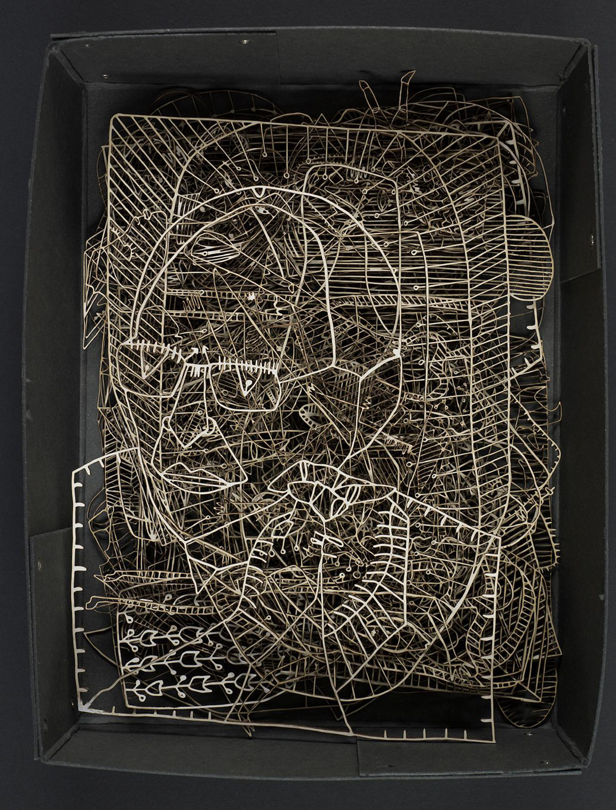 Lasercut-Scissorcuty layered on top of each other in black box