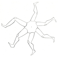 Drawing of legs running in a circle