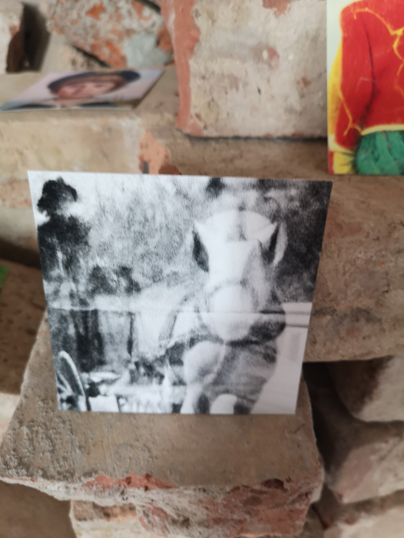 BW fictional AI photograph from artistic research project about a German manor house.