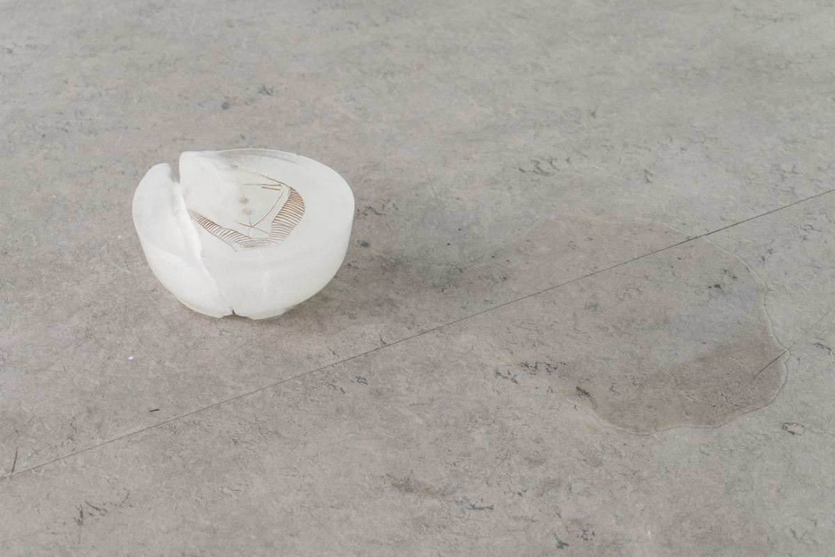 Frozen Portrait - ice sculpture in exhibition