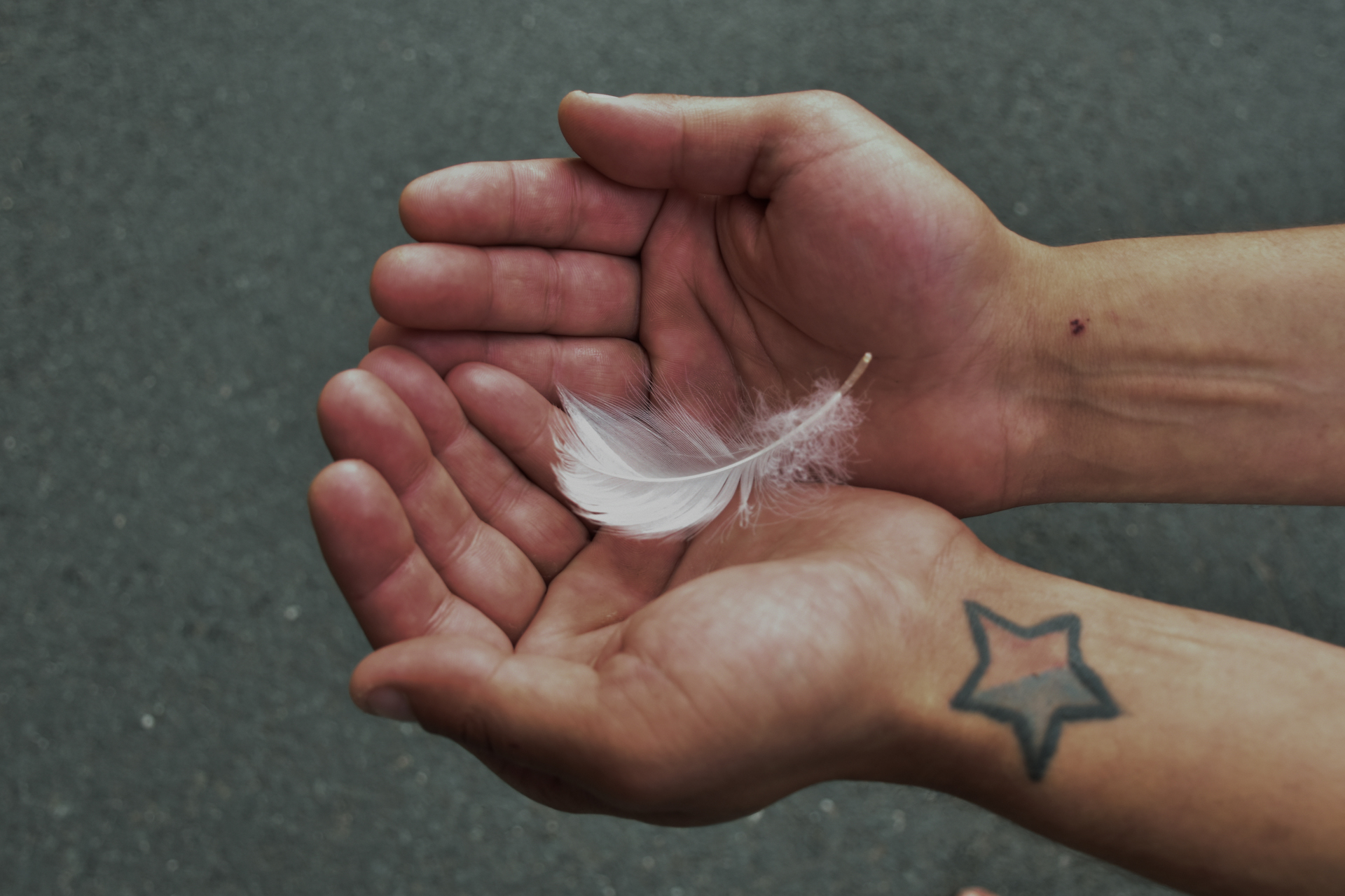 Weiße Feder in zwei Händen gehalten.