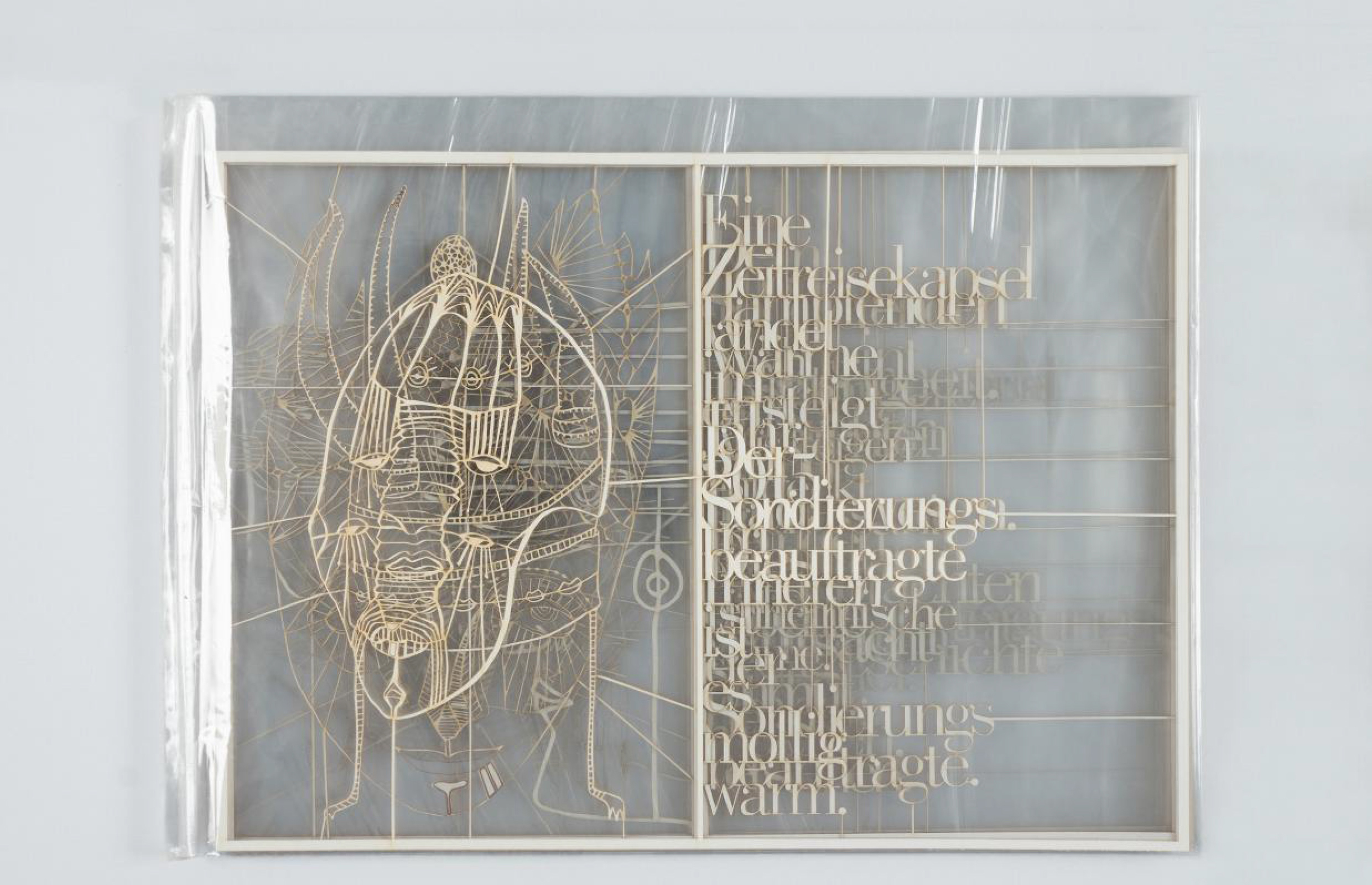 Layered Lasercut - artistic work with skull layered on top of other images and text in see-through foil