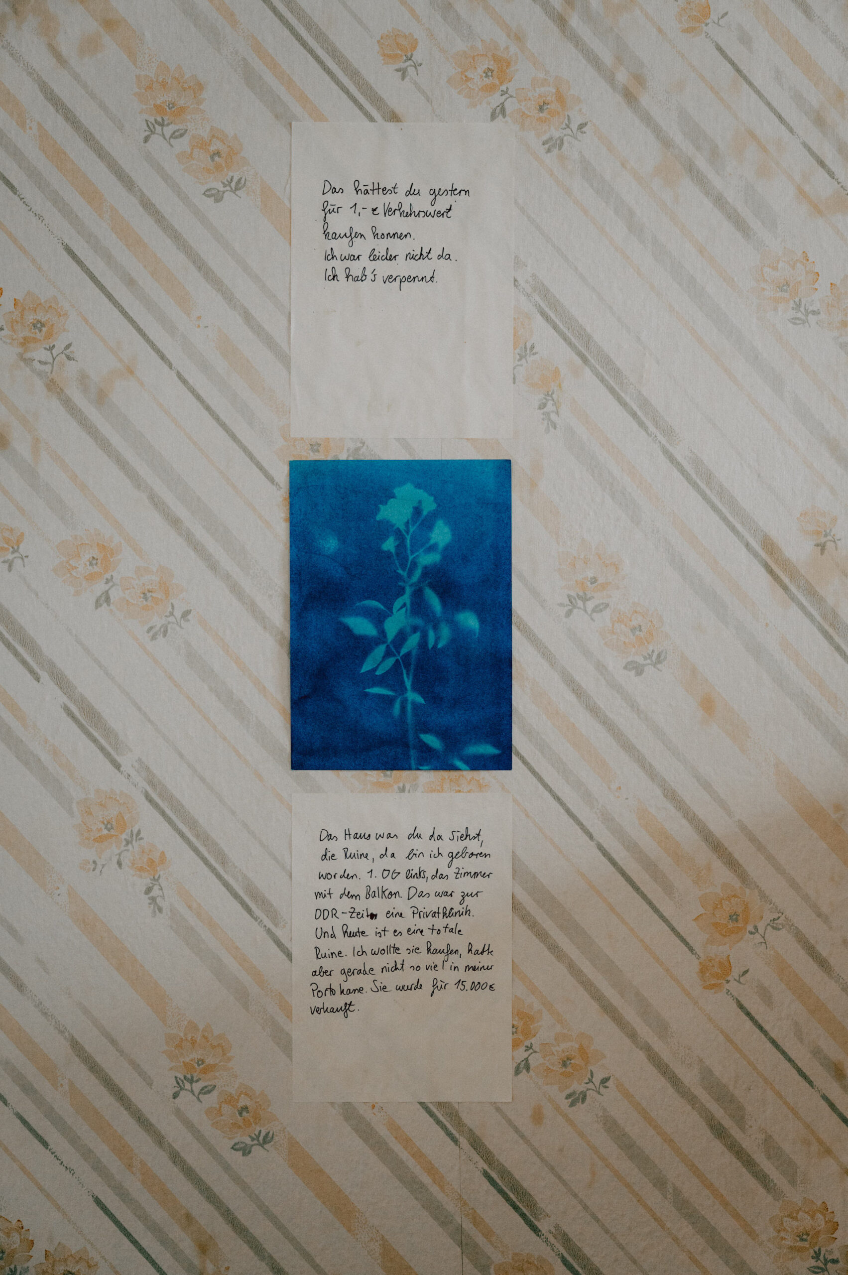 Cyanotype und Gedichte an Wand mit alter Tapete - Kunstprojekt 