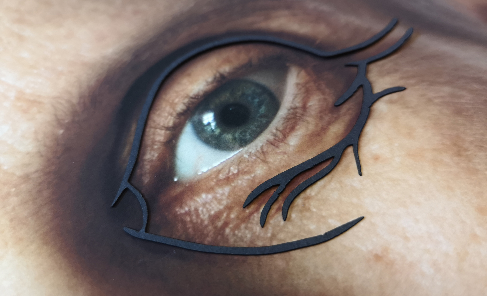 Makro Fotografie eines Auges mit plastischer Zeichnung der Augenfalten mittels Lasercut