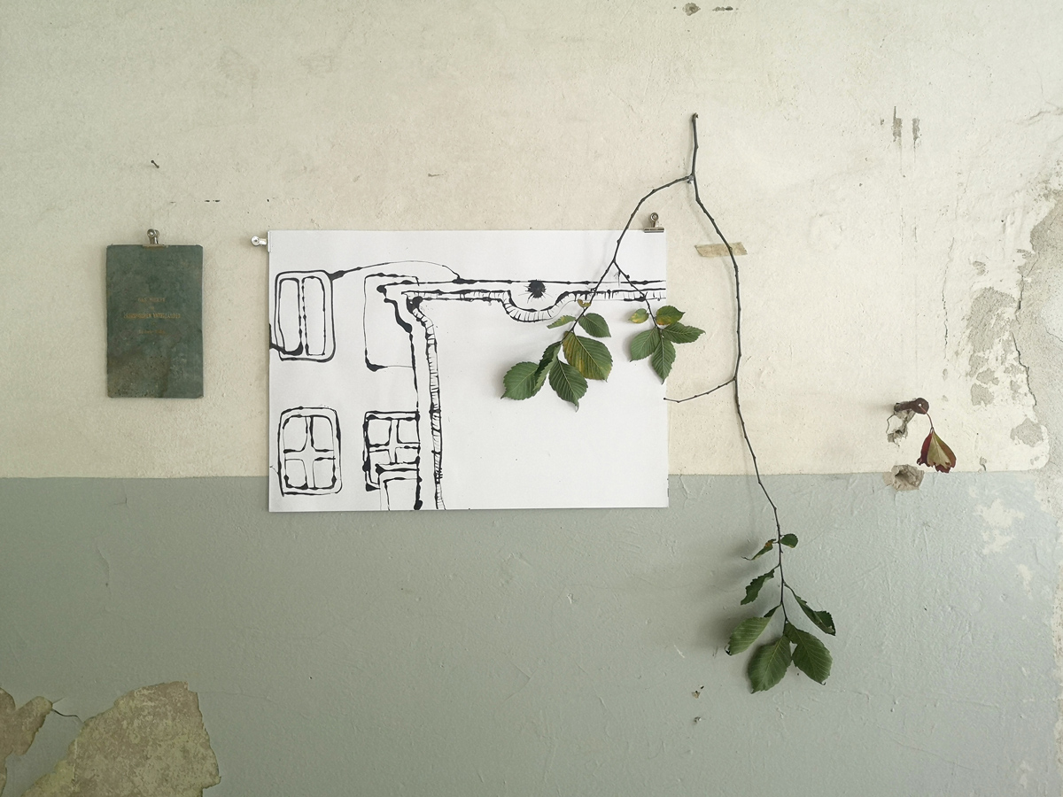 Künstlerische Architektur-Tintenzeichnung mit Blätterranke in einem leer stehenden Gutshaus in Brandenburg.