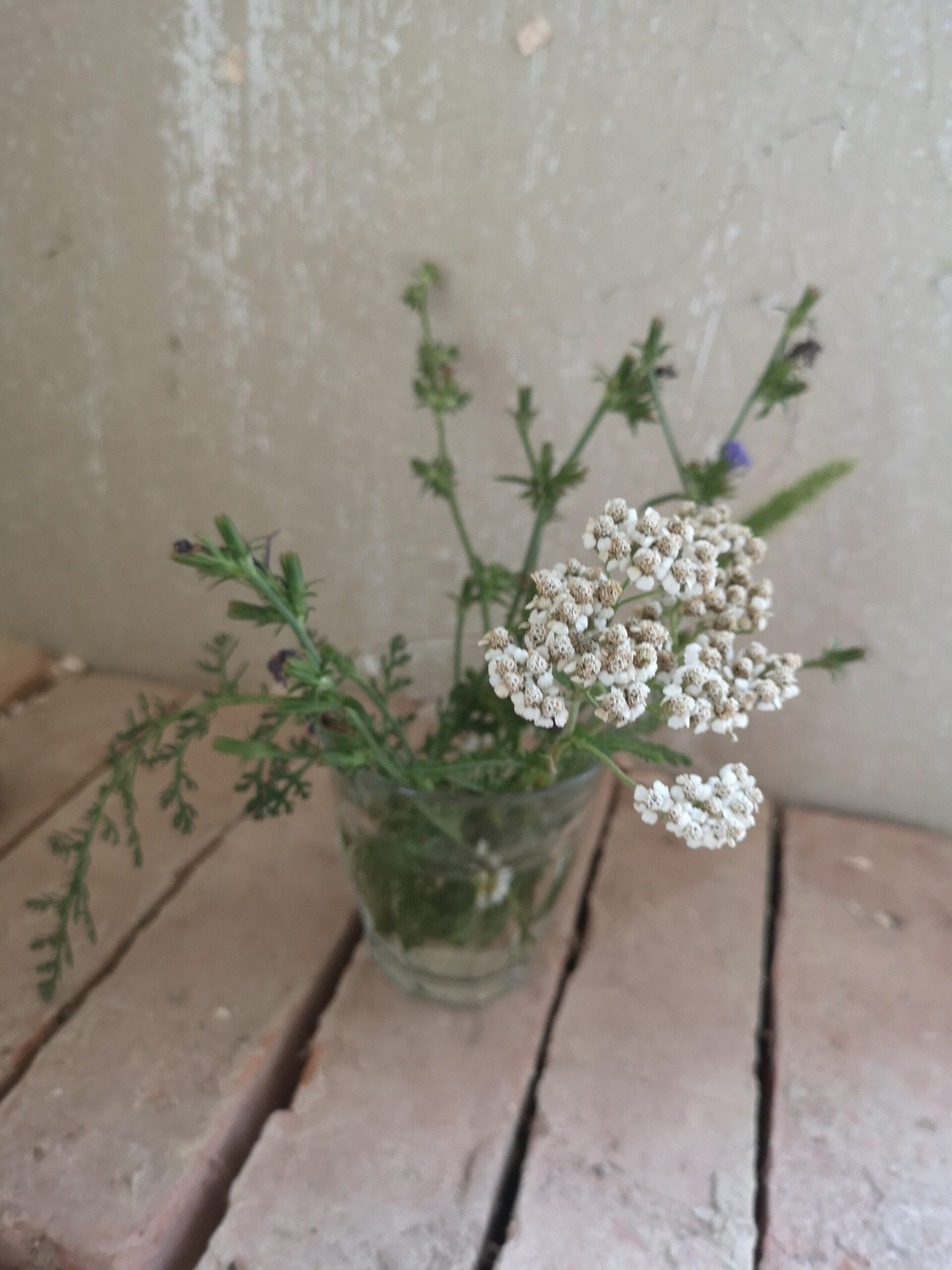 Kleienr Feldblumenstrauss mit Schafgarbe in Wasserglas