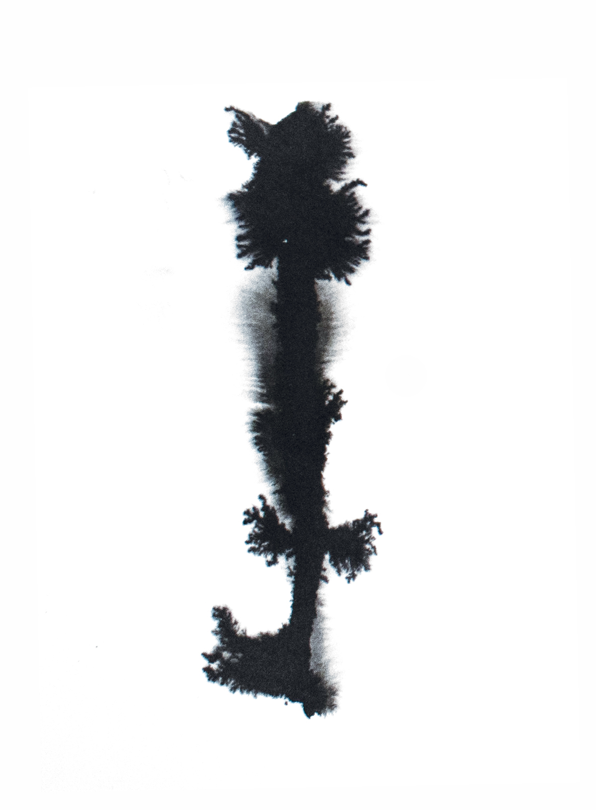 Rorschach-Inkdrawing -Art Series