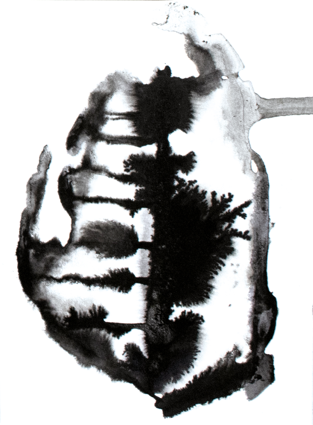 Rorschach-Inkdrawing -Art Series